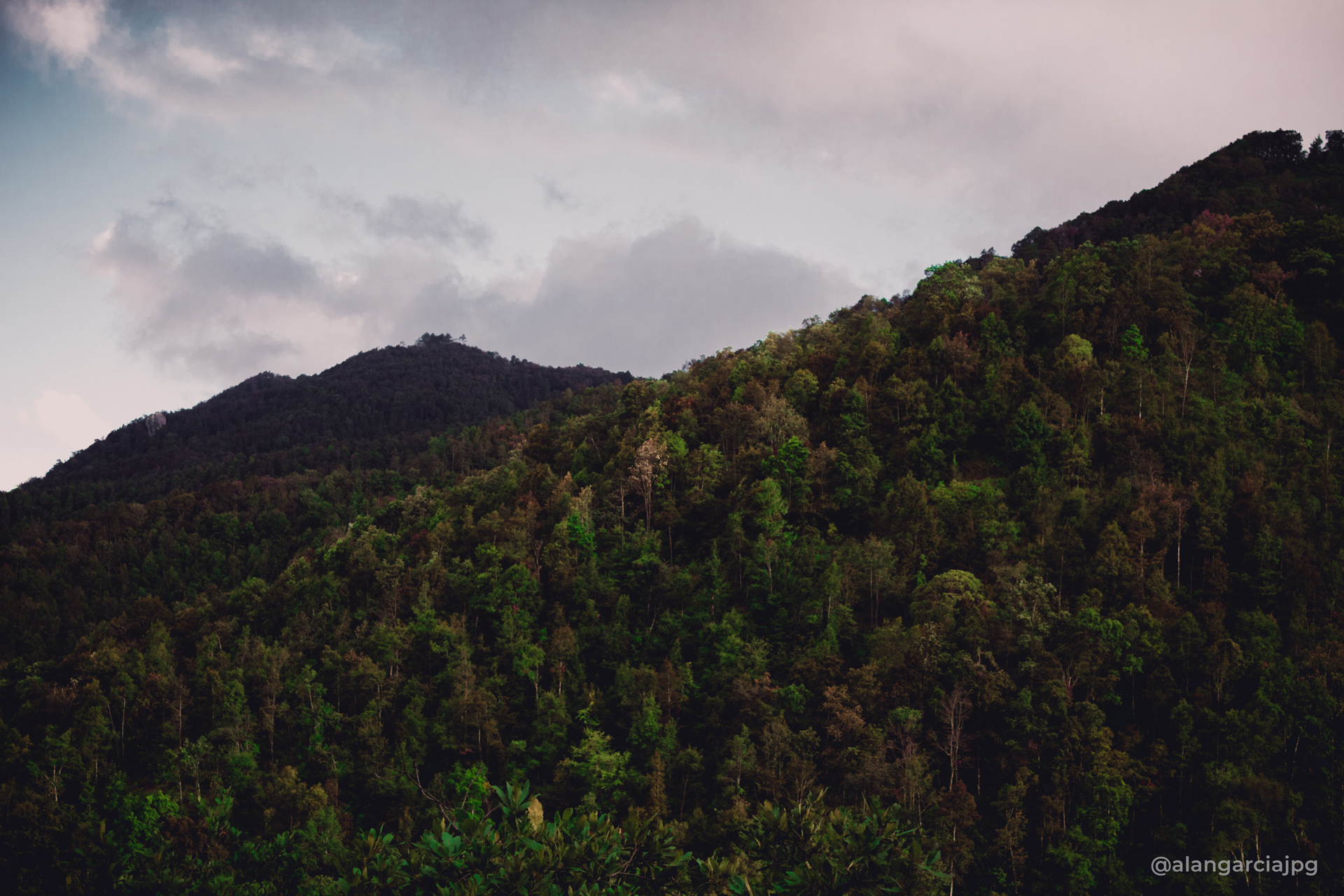 Montañas tupidas de árboles en San Andrés Tianguistengo, Actopan, Hidalgo.