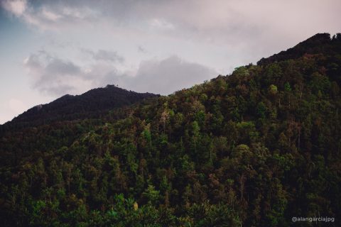 Montañas tupidas de árboles en San Andrés Tianguistengo, Actopan, Hidalgo.