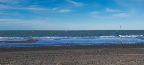 Bahía San Blas, Buenos Aires, Argentina.